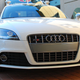 Illustration for article titled Fully Autonomous Audi TTS to Race at Mad Pikes Peak Rally Circuit